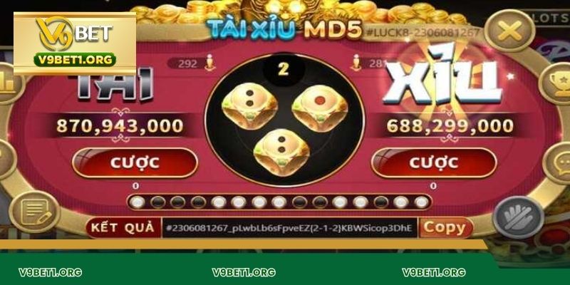 V9BET cung cấp dịch vụ cá cược an toàn